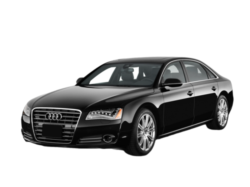 p-remove-bg.ai_1737122593970.png