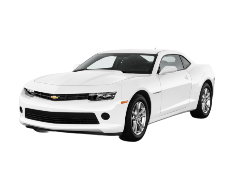 p-remove-bg.ai_1722588987392.png