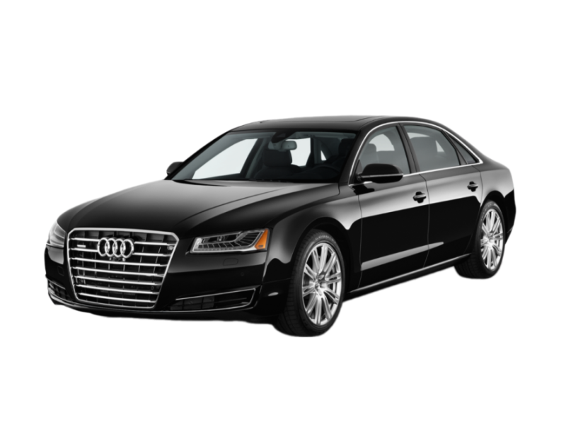 p-remove-bg.ai_1722589713811.png
